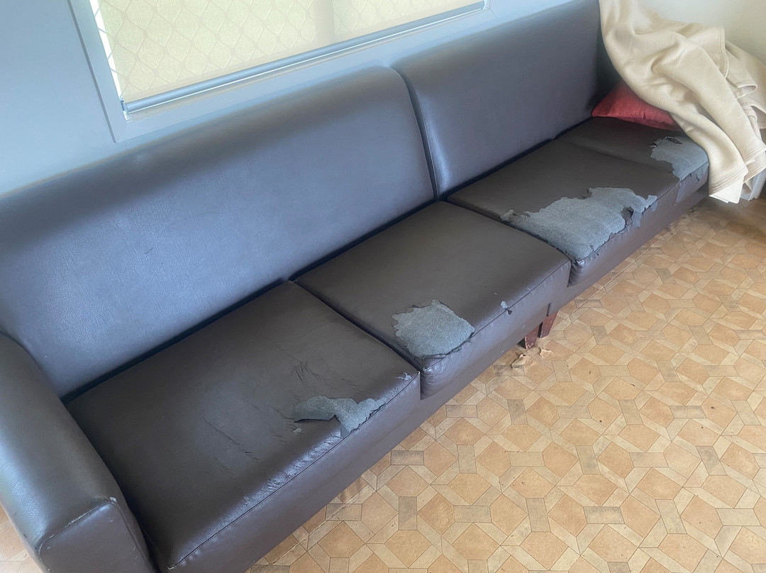 Lake Glenbawn State Park-Scone必去景点