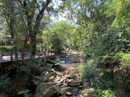 Serenity Mountain and Forest Lodge主图