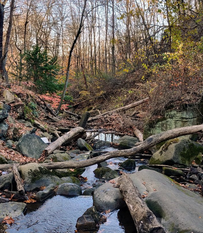 Buttermilk Falls Natural Area景点图片