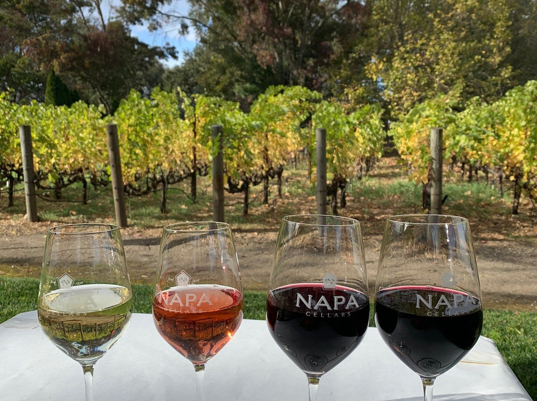 Napa Cellars景点图片
