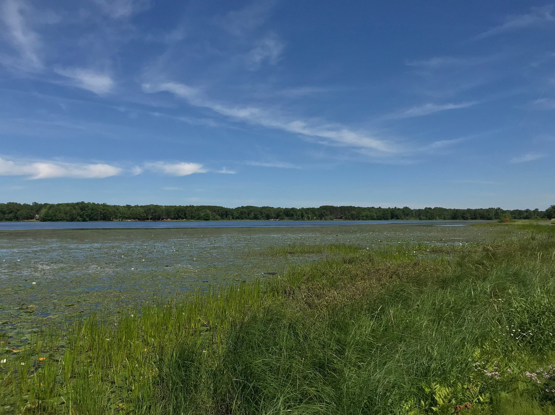 Amsterdam Sloughs-Siren必去景点