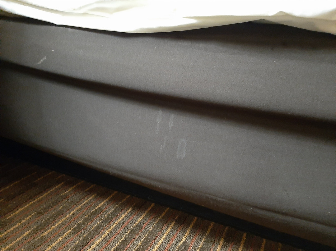 Best Western Temple Inn & Suites主图