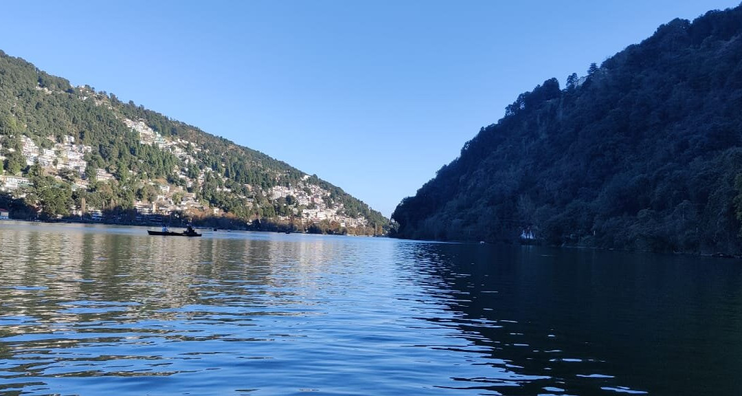 8fold-pinecrest By Larisa, Bhimtal主图