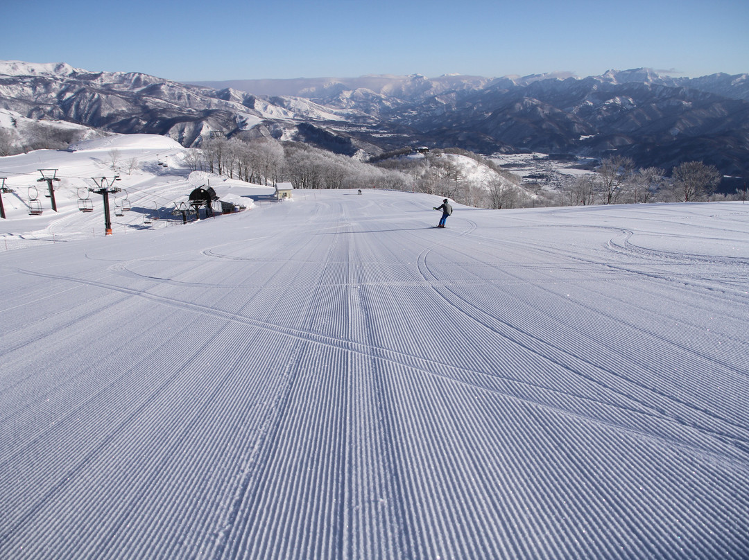 白马五龙滑雪场 / 高山植物园景点图片