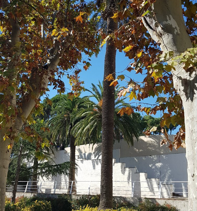 Parque de Can Solei i Ca l'Arnus景点图片