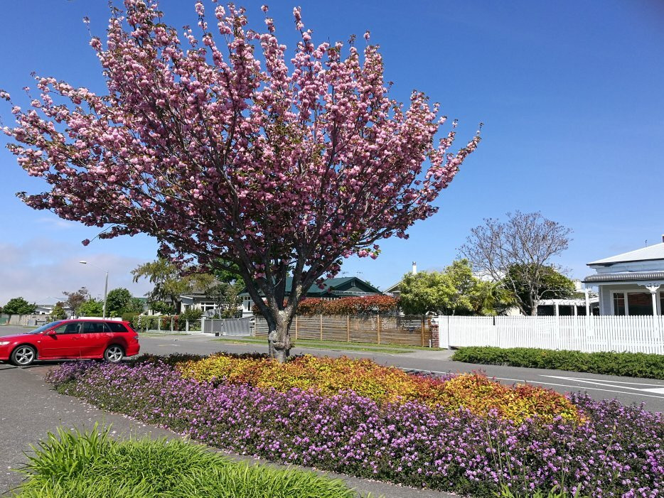 ASURE Colonial Lodge Motel主图