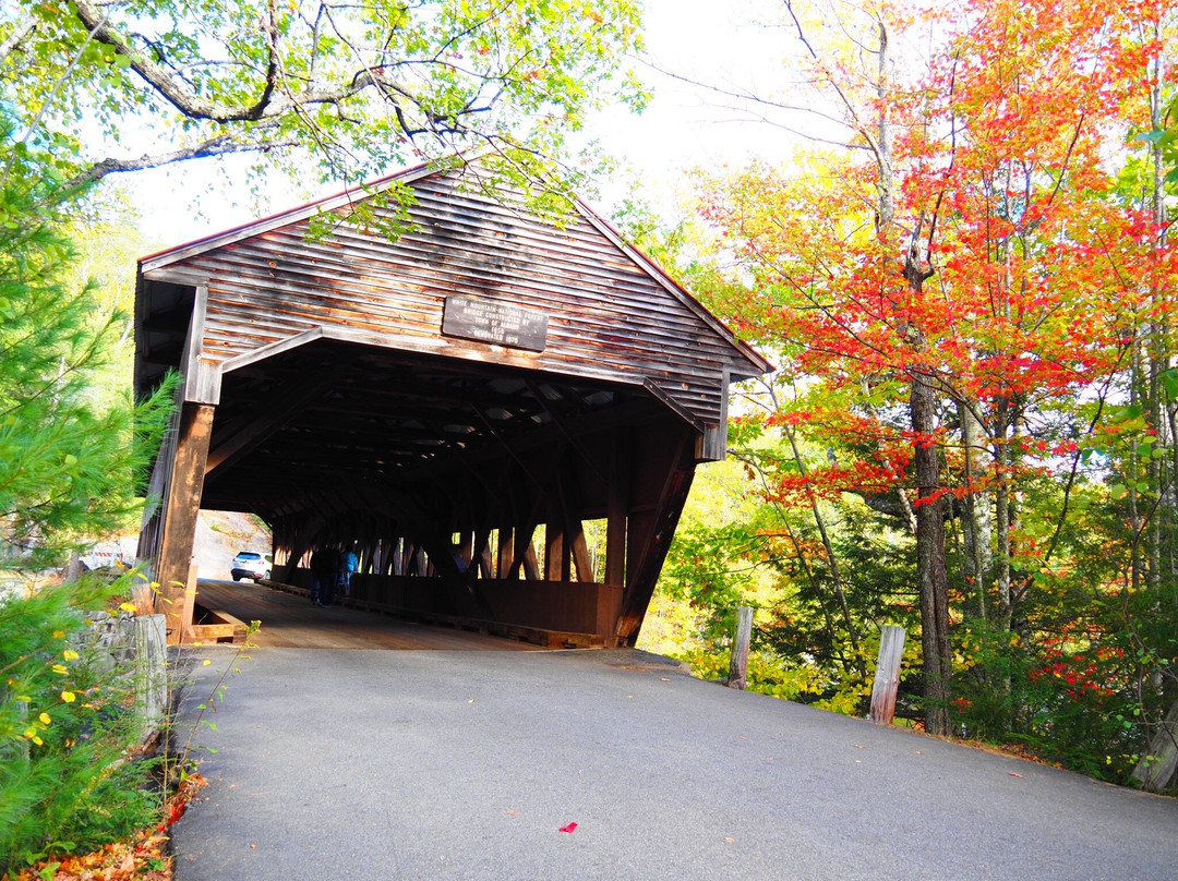 Albany Covered Bridge-Albany必去景点