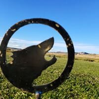 Coyote Del Malpais-Grants必去景点