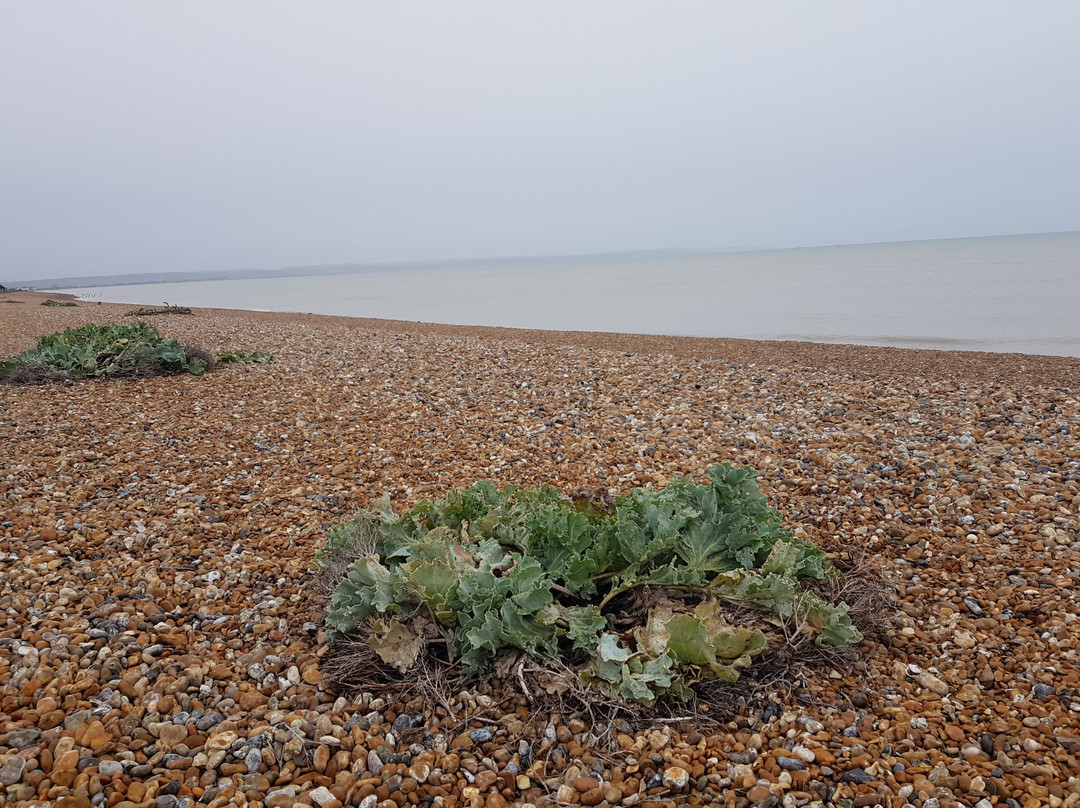 Littlestone Beach-Littlestone-on-Sea必去景点