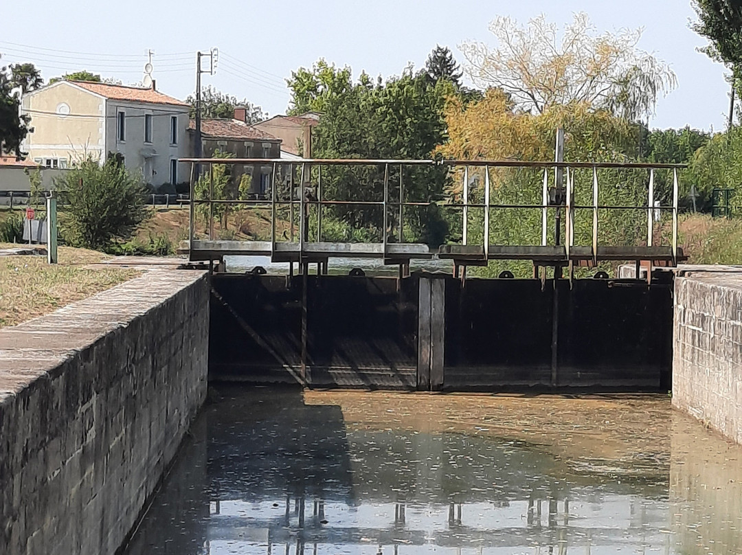 Le Marais Poitevin景点图片