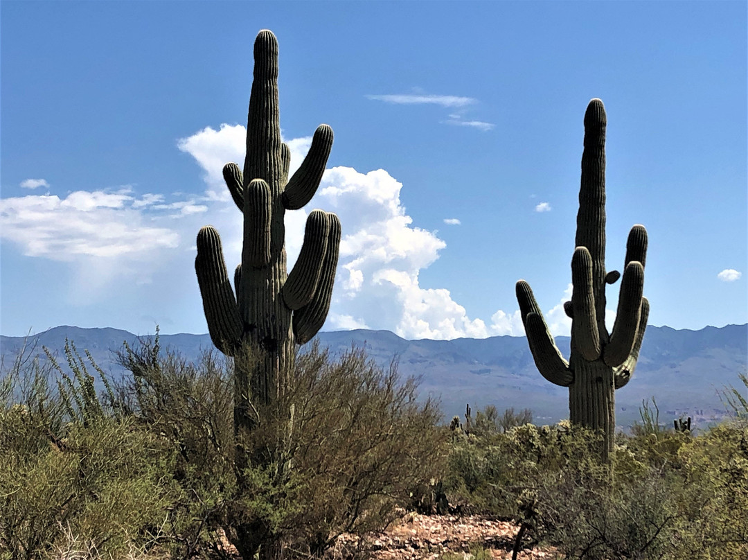 Oracle Adventure Rentals-Oracle必去景点