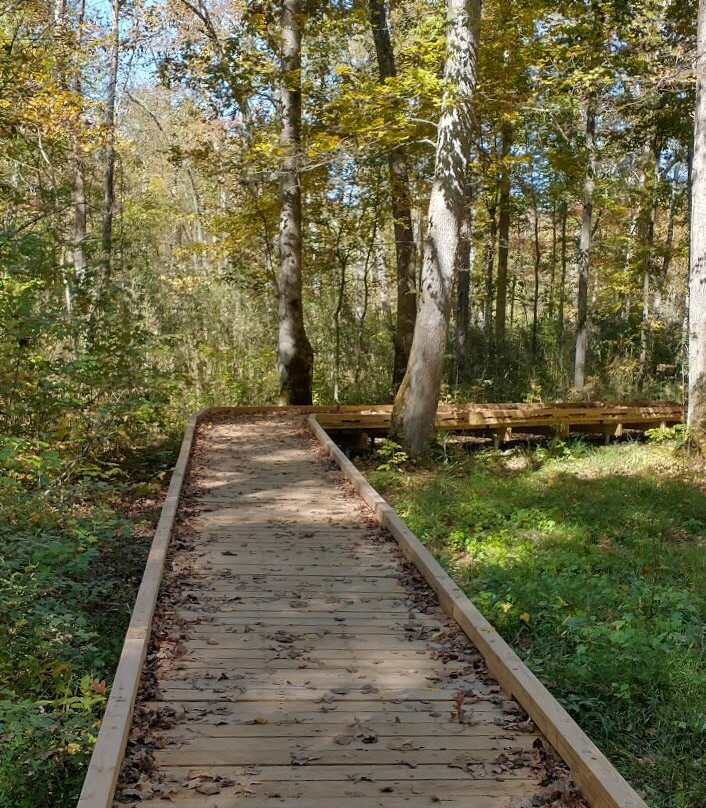 Land Between The Lakes National Recreation Area-Golden Pond必去景点