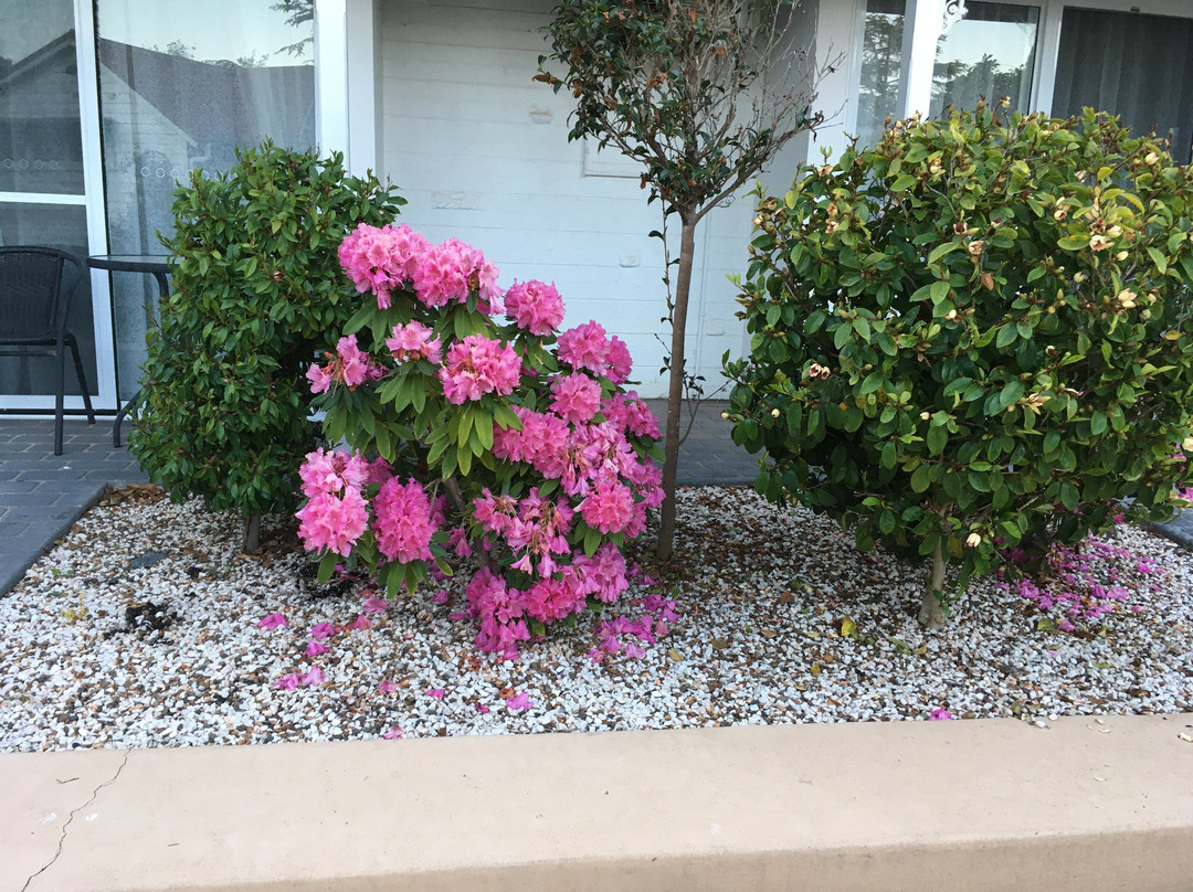 摩尔庄园酒店主图