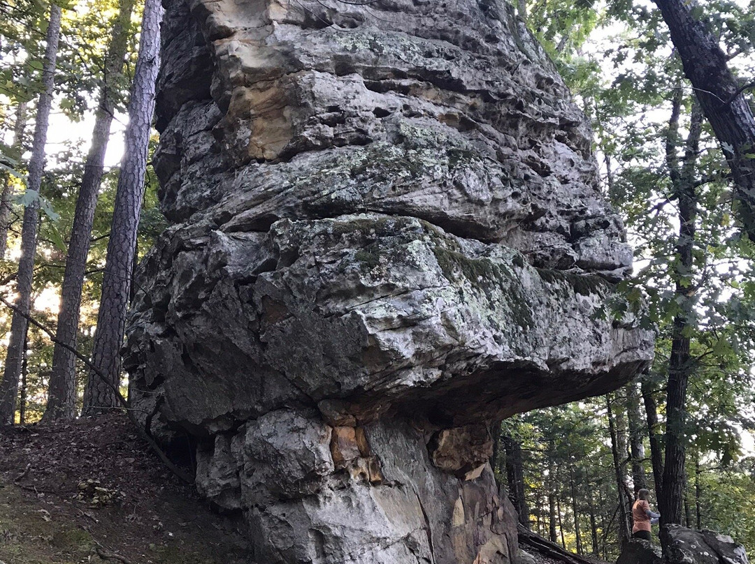 Bear Cave Trail-Morrilton必去景点