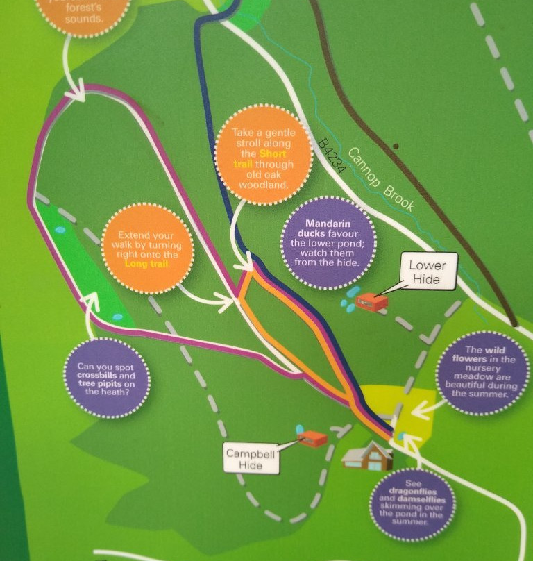 Nagshead Nature Reserve-Parkend必去景点