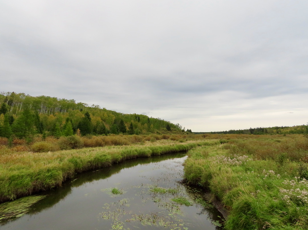 Prince Albert National Park景点图片