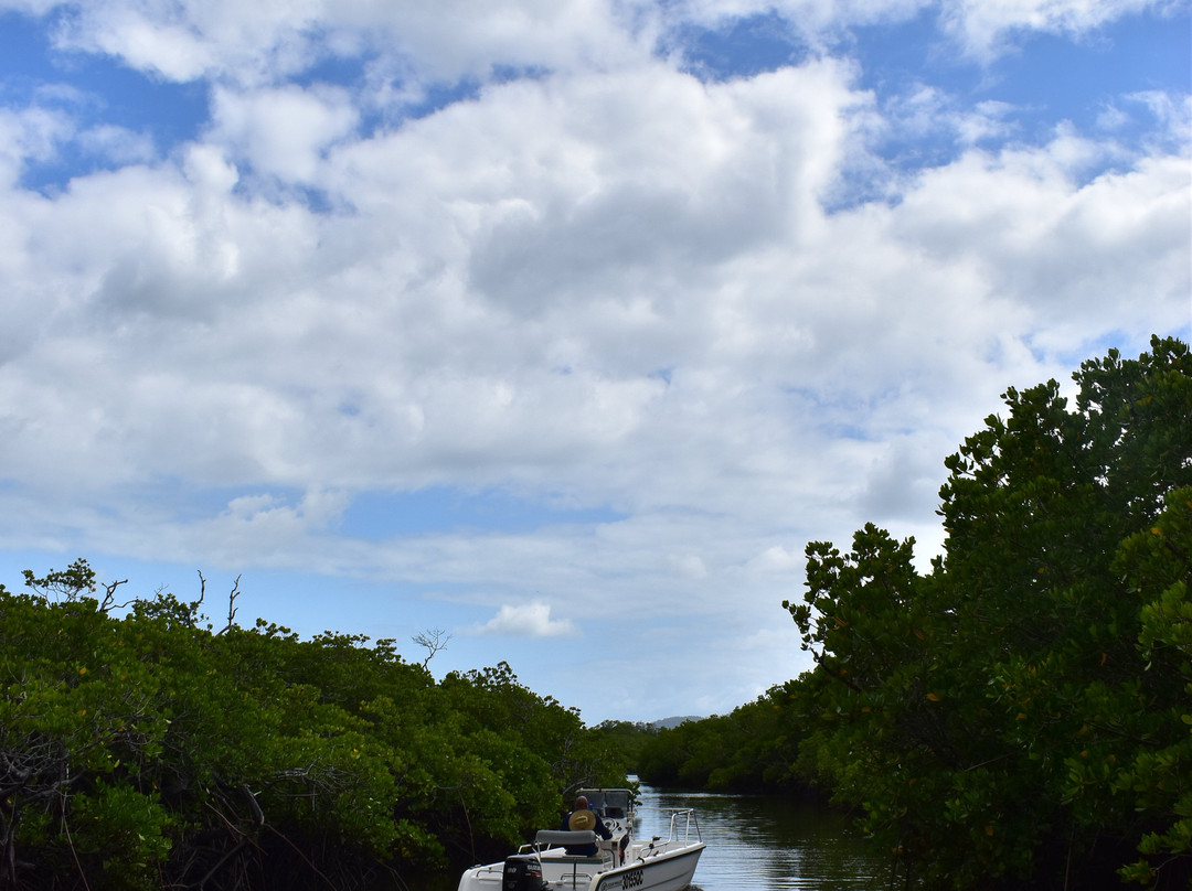 Absolute North Charters-Hinchinbrook Island必去景点