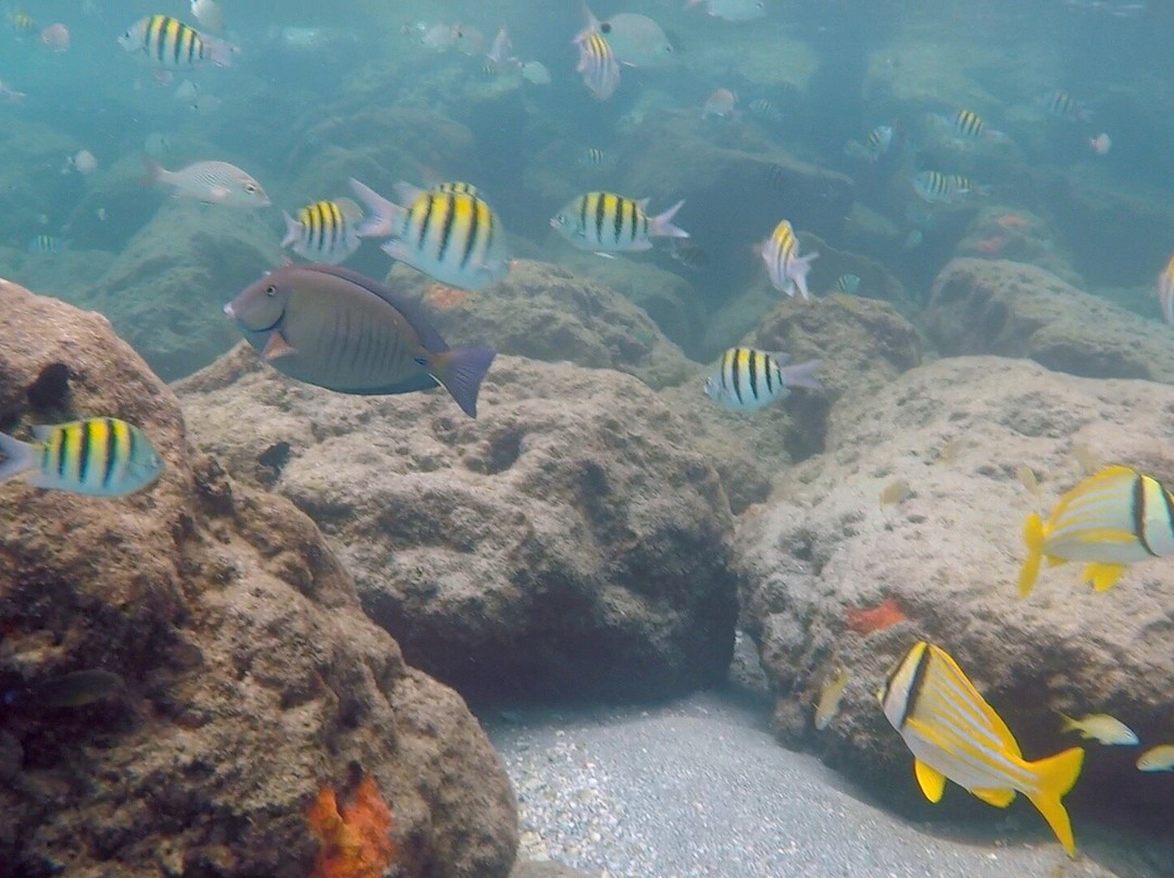 Ebb and Flow Adventures-朱庇特必去景点