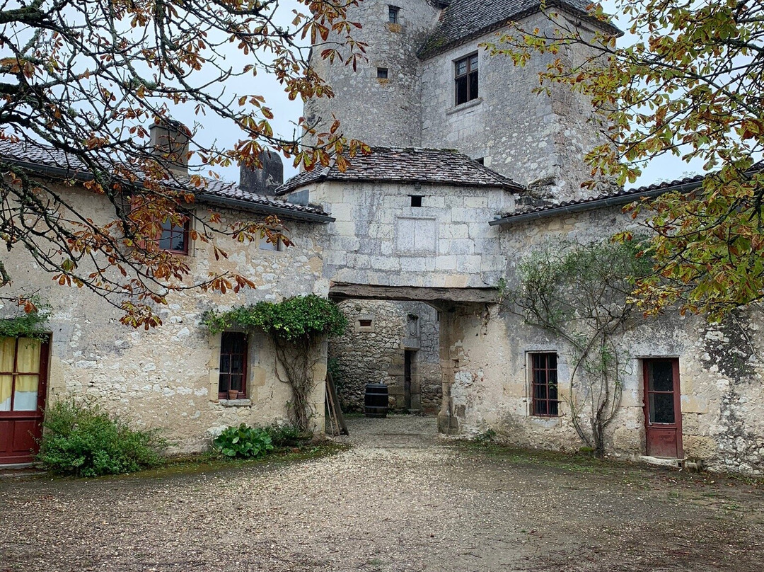 Montaigne's Tower景点图片