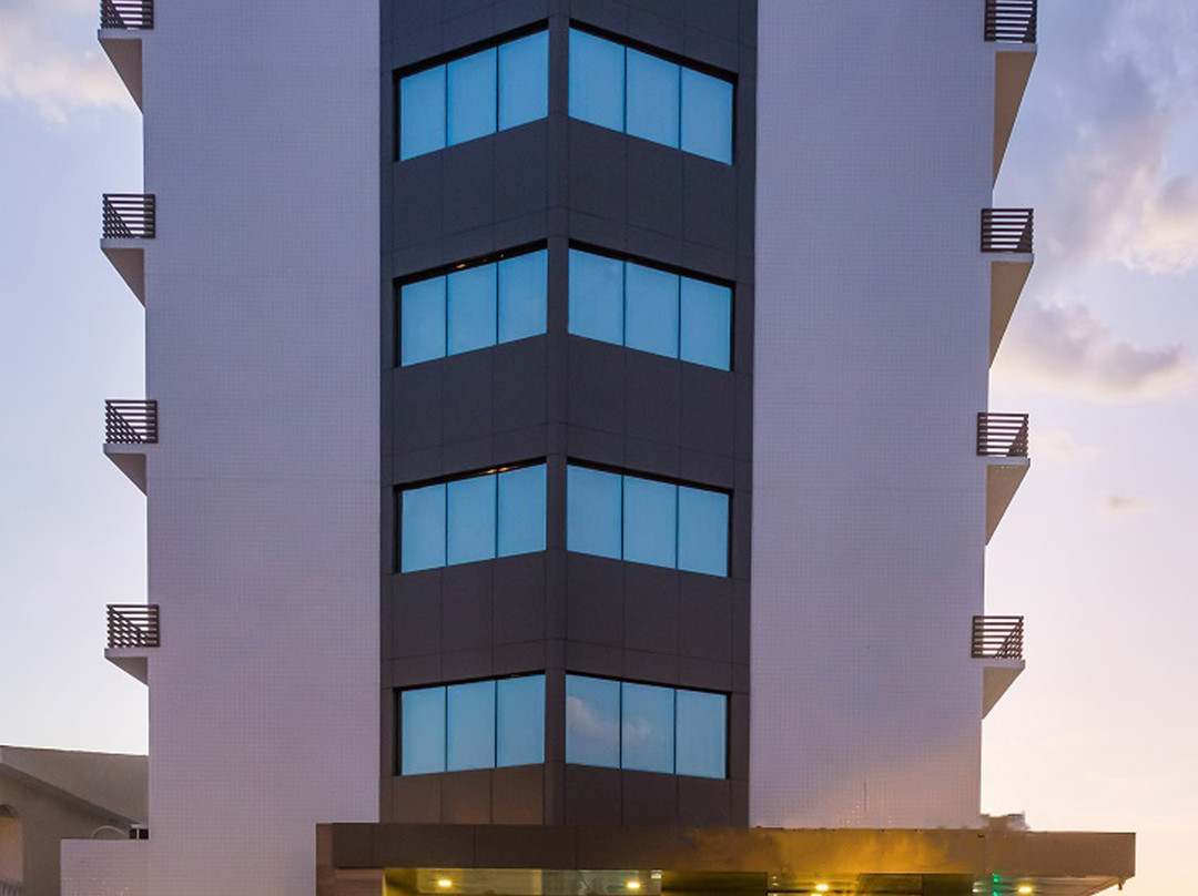 Nord Easy Patos主图