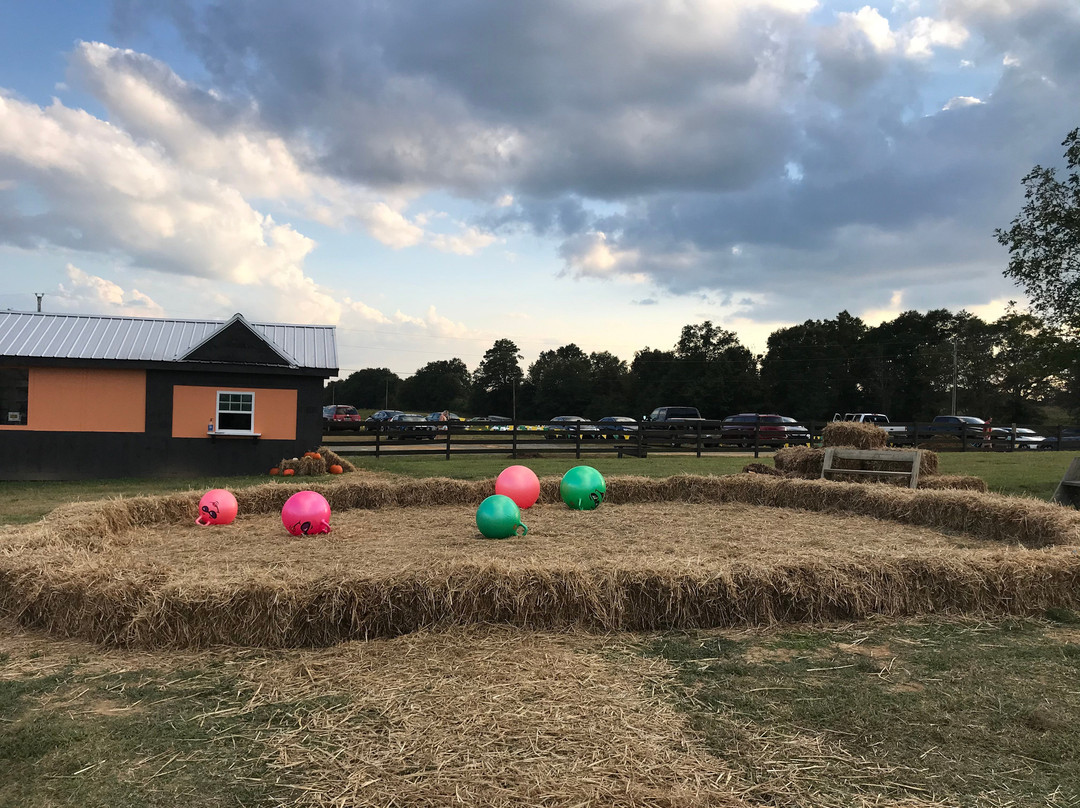 4D Farm景点图片