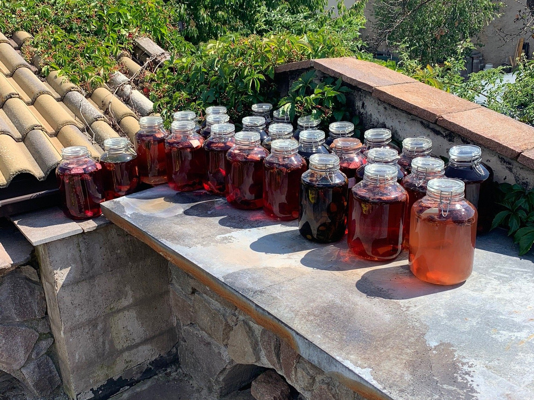 拉斯图亚酒店主图