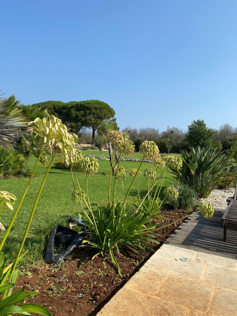 Masseria La Gresca-官方