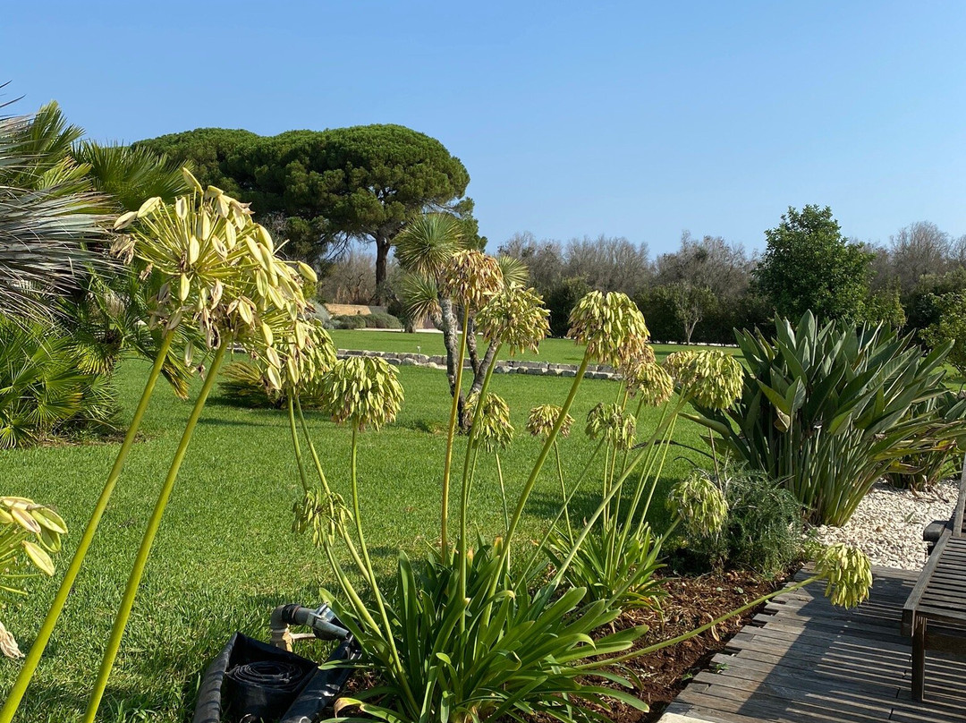 Masseria La Gresca主图