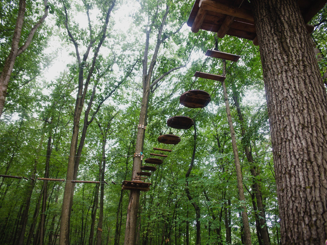 FLG X Adventure Course - New Jersey景点图片