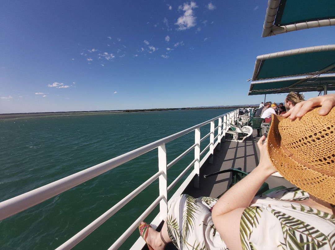 Dolphin Explorer Cruises-Port Adelaide必去景点