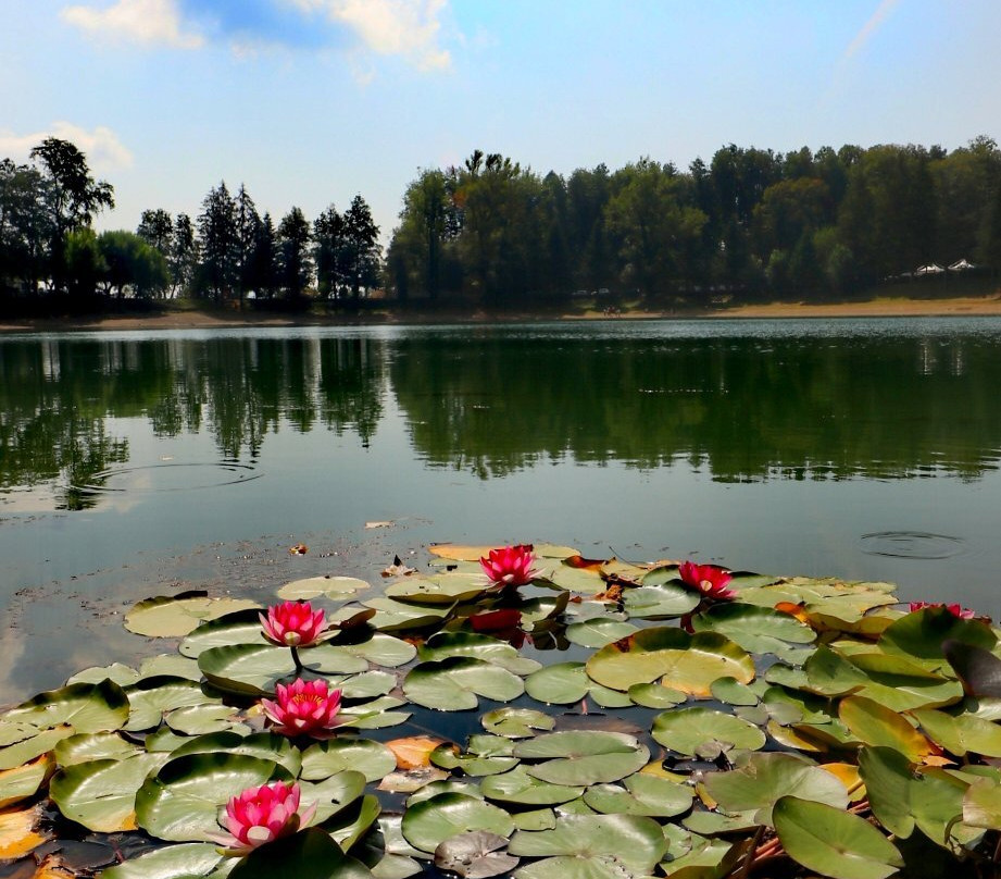 Lago Sirino景点图片