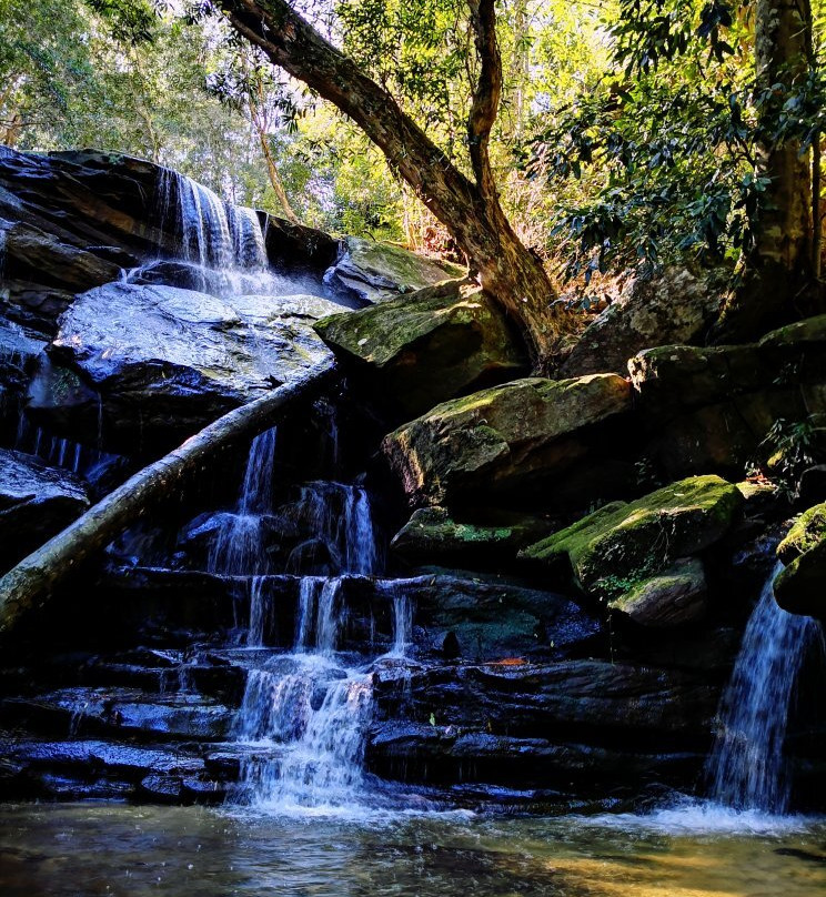 Somersby Waterfalls and Picnic Area景点图片