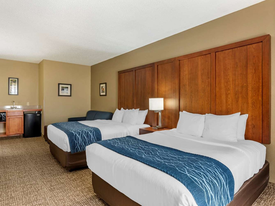 Comfort Inn & Suites主图