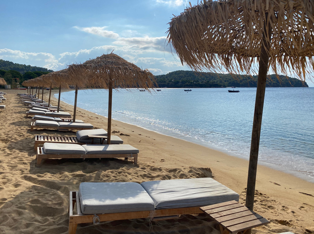 Princess Resort主图