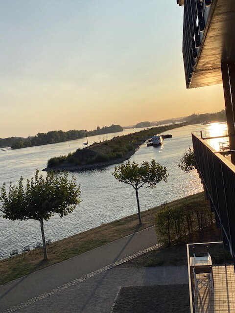 Papa Rhein Hotel主图