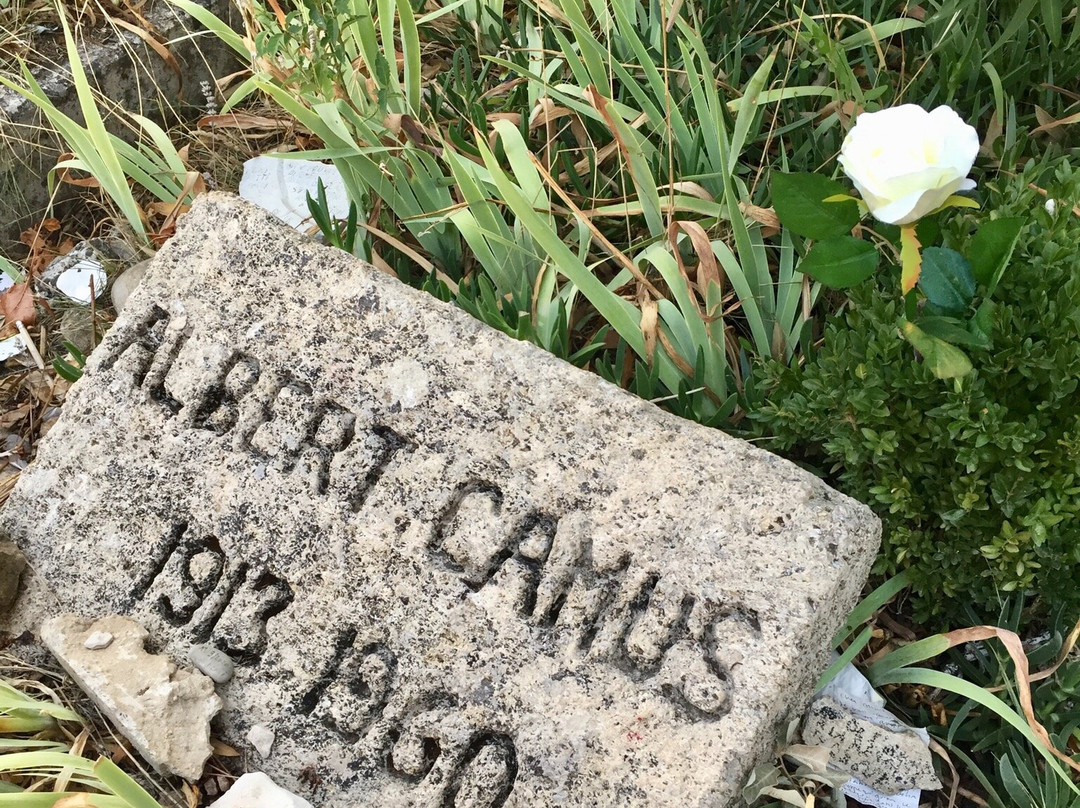 Albert Camus Grave景点图片