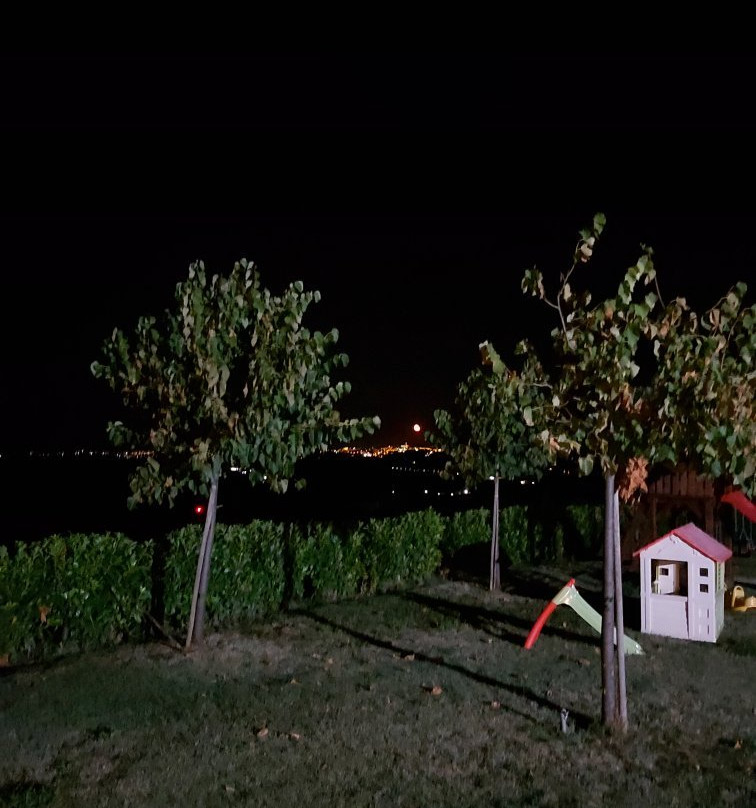 Agriturismo Colle Tripio主图