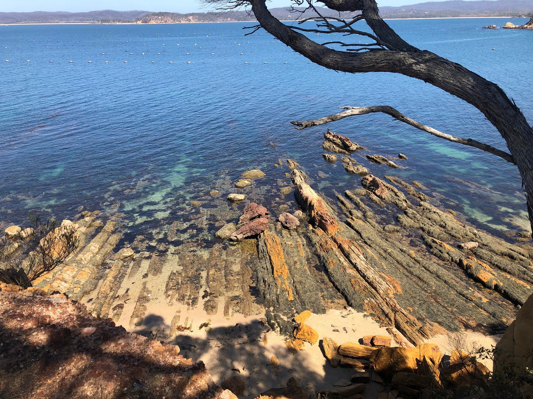 Bundian Way Story Trail-伊登港必去景点