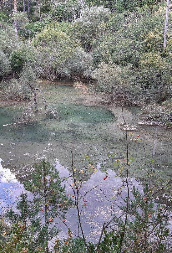 Nacimiento Del Rio Cuervo景点图片