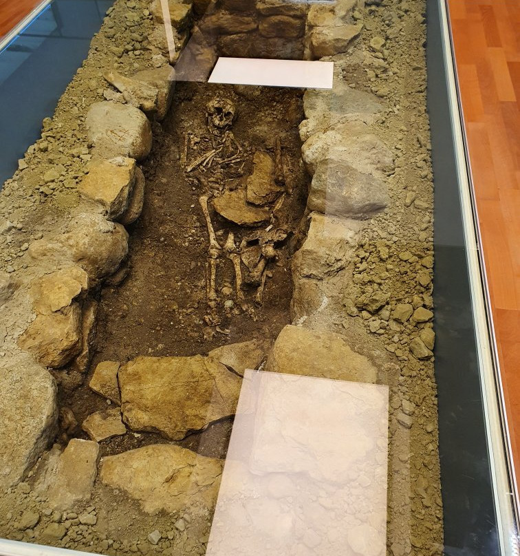 Laténium Parc et musée d'archéologie-Hauterive必去景点