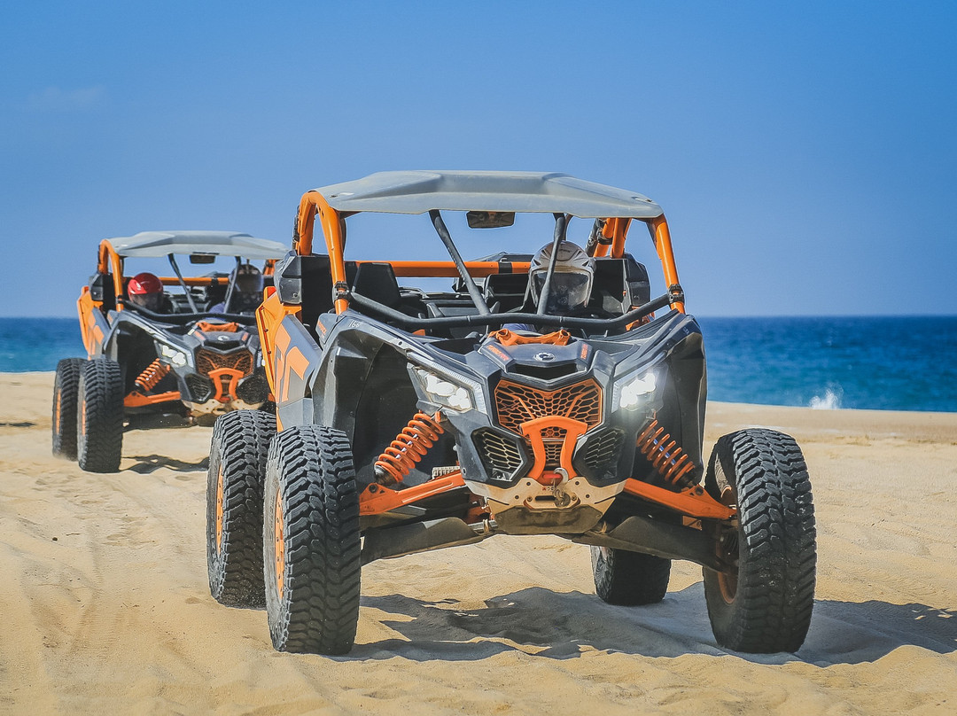 Cactus Tours-卡波圣卢卡斯必去景点