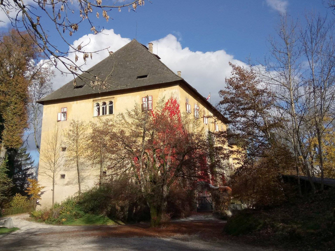 Schloss Hallegg景点图片