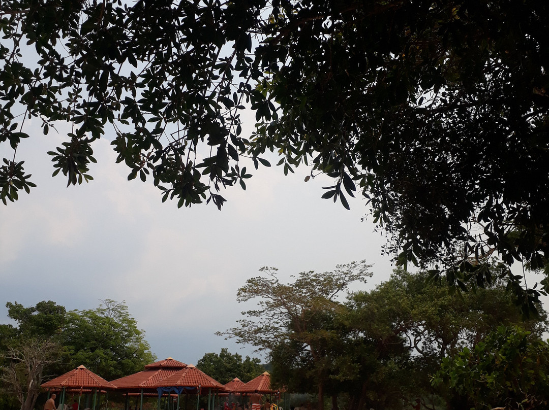 Praia do Tupe-玛瑙斯必去景点