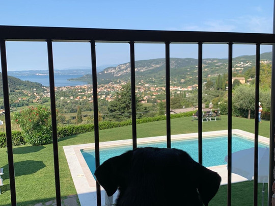 Baesse旅游攻略图片