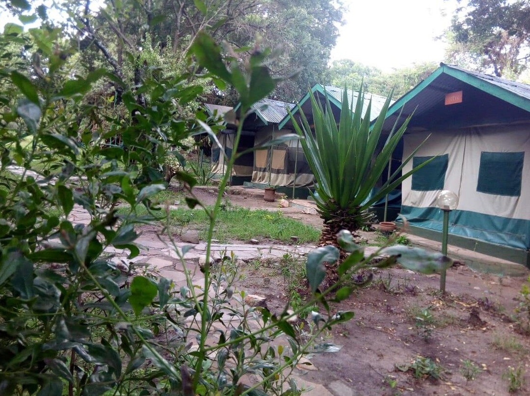 Kenia Tours & Safaris Ltd-内罗毕必去景点