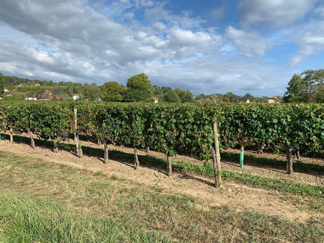 Hotel Restaurant Au Petit Bearn主图
