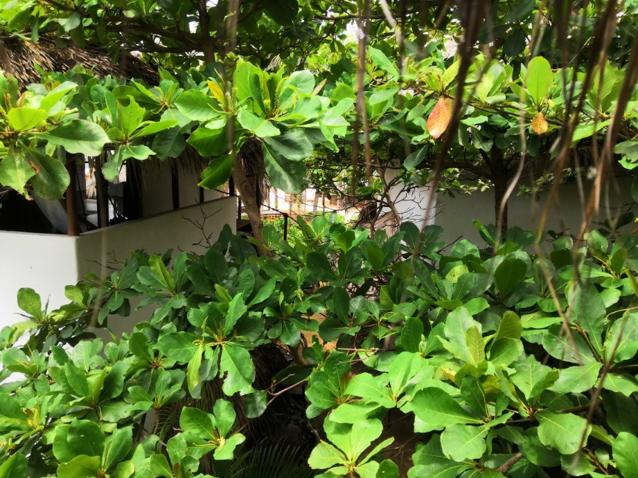 Hotel Descalzo主图