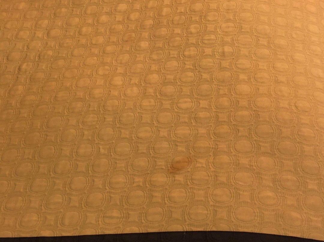 Super 8 by Wyndham Conway主图