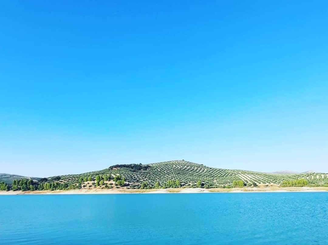 Casa Higueras Bed & Breakfast主图