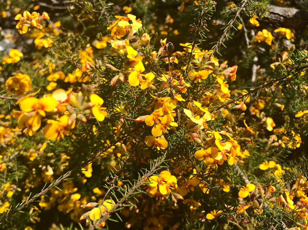 Kattang Nature Reserve